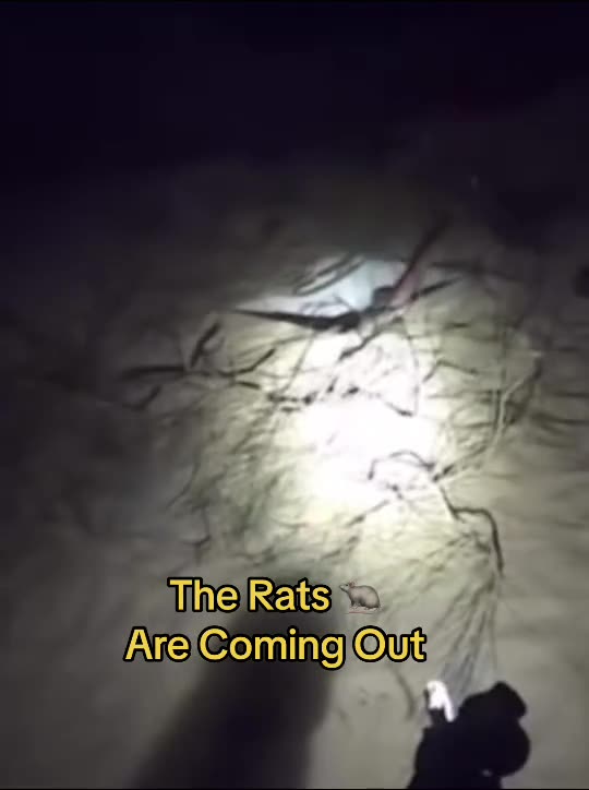 Another fake video. Zions are getting desperate. What a load of bullshit the lies don’t stop