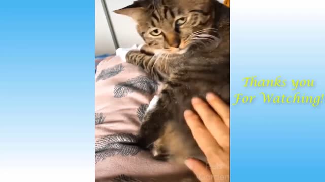 🤣Funniest Animals - Best Of The 2021 Funny Animal Videos🤣