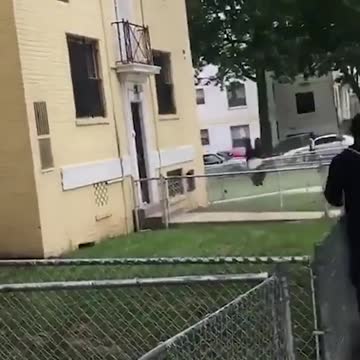 Young Man Delivers Olympic Style Acrobatics To Evade Police