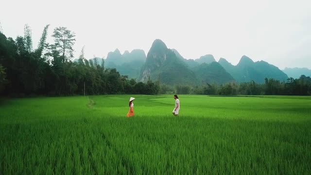 the green rice with lovely couple