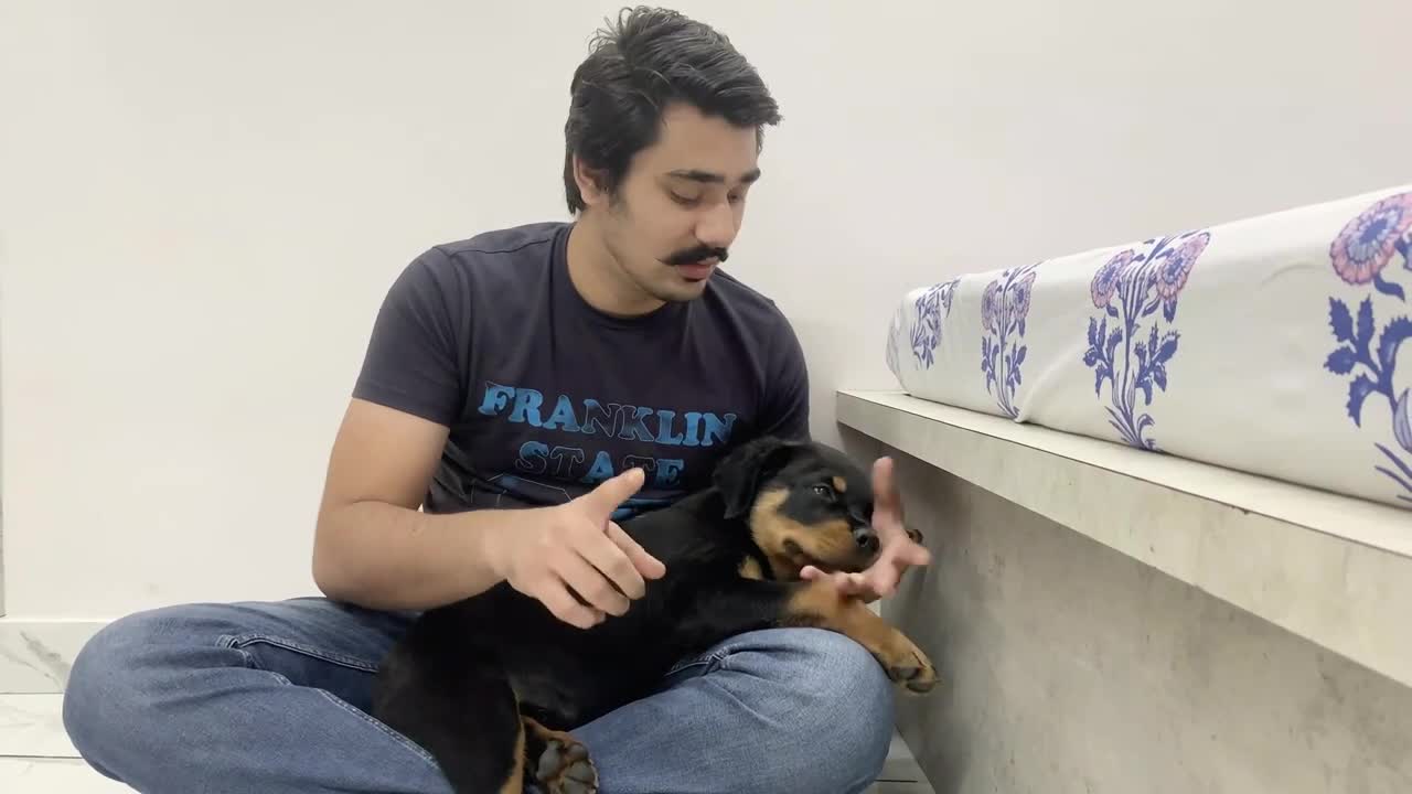 HOW TO STOP PUPPY BITING |PUPPY BITING PROBLEM|