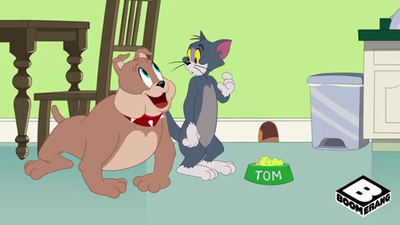 Tom Jerry cartoon