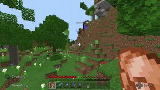 Minecraft Slime Fun