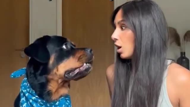 His face 😍😍 Beautiful Rottweiler #shorts #rottweiler #dogs