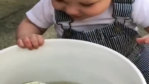 Cute baby reacts to live fish