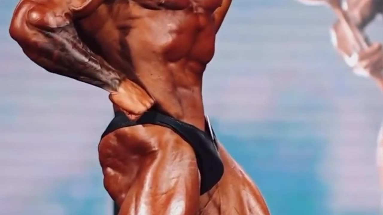 American bodybuilding short