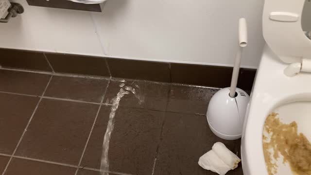 shitty toilet urination