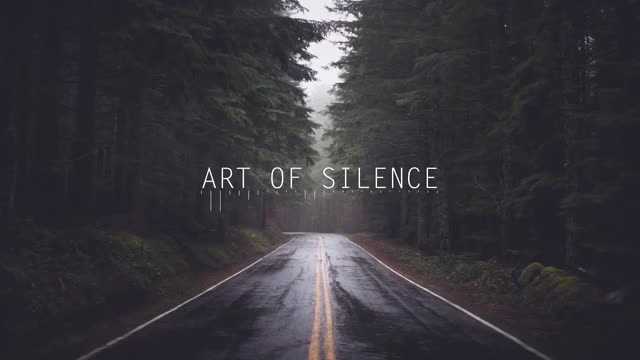 Art of Silence !