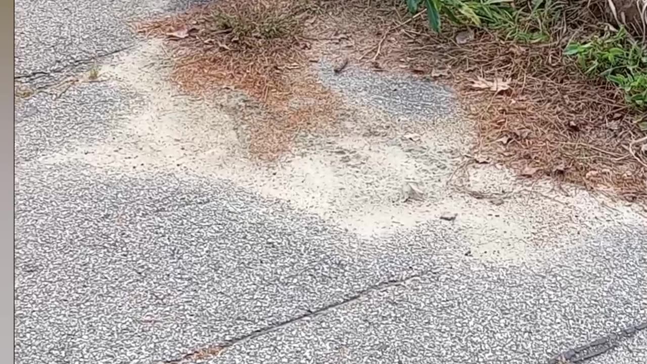 You got a friend in me