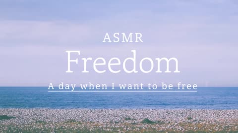 🌊 바다의 자유를 느껴봐! 🕊 | 2시간 힐링 ASMR 🌅 잔잔한 파도 소리와 함께