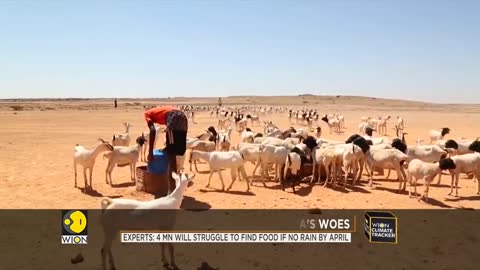 Somalia faces worst drought in a decade, climate crisis worsens Somalia's woes _News