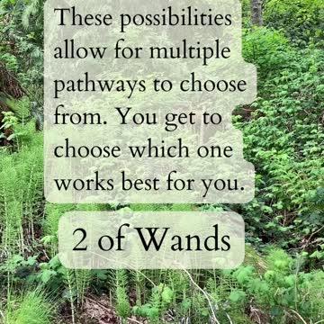 Tarot Readings From Nature. Small Pockets.