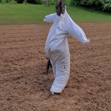 How can i be serious