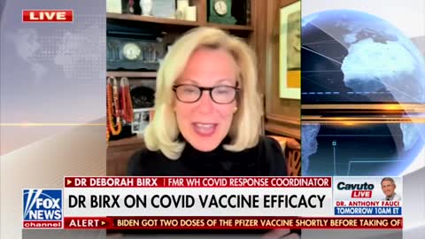 Dr. Birx Finally Admits What We Knew All Along!!