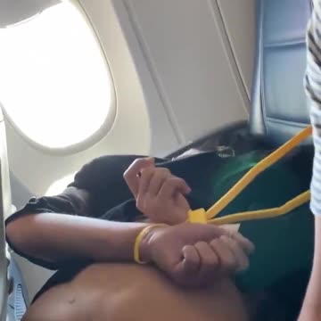 Some Idiot Tried to Hijack a Plane and THIS Happened