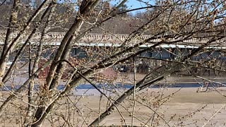 200’ Boat Dock On Flooded Kentucky River