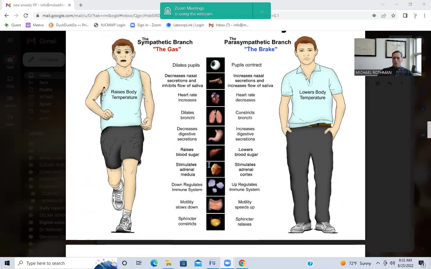 Metabolically Directed Approach to Anxiety