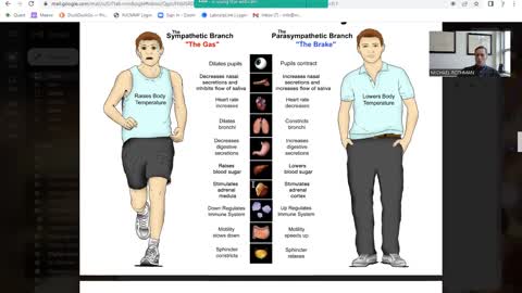 Metabolically Directed Approach to Anxiety