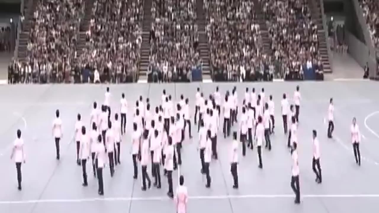 Amazing synchronized walking sports...must watch