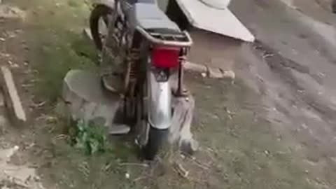 Ukrainian crawling surrender