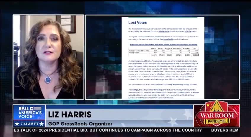 Liz Harris Reveals Shocking Details Of The Maricopa County AZ Canvass Report!