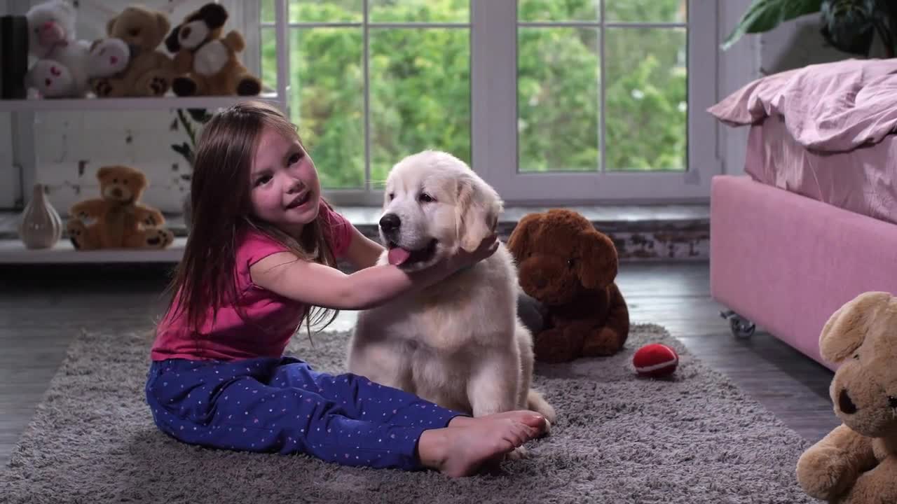 Adorable elementary age child enjoying home leisure with dog pet hugging and petting