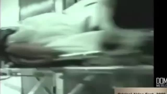 Prediction of how vaccines were going to be forced on everyone from 2009