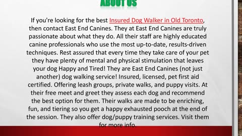 Insured Dog Walker in Old Toronto