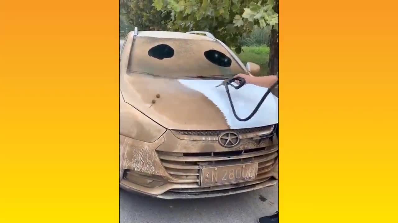 Cleaning a Dirty Car - Oddly Satisfying