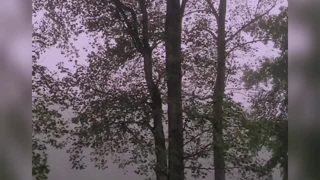 Monday Morning Moment In Nature