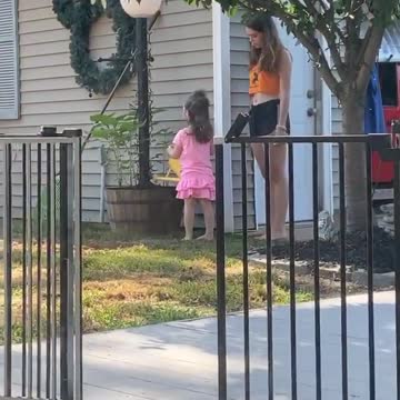 Comfortable Living Room Cat