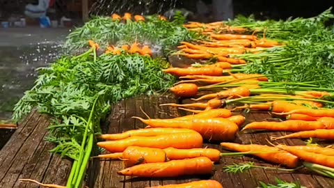 Carrot Bath