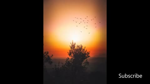 Relaxing Music | Sleeping, Meditation, Stress Relief | [516] ⭐️