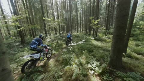 Cycling in the forest