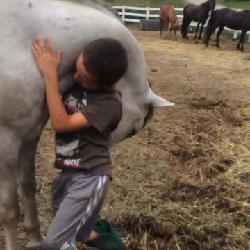 Loving Horse Gets Too Close With Young Boy