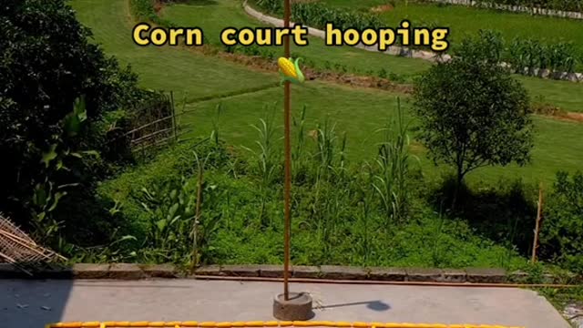 Corn court stirrup