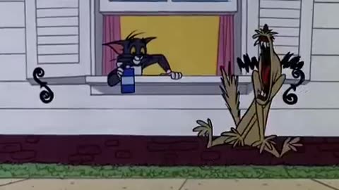 Tom and Jerry video funny 🤣