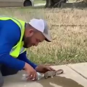 Saving a squirrel from strong thirst:Спасение белочки от сильной жажды