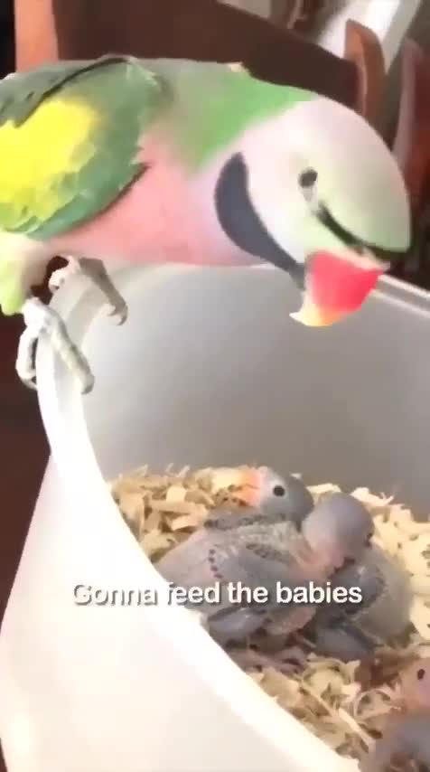 What a good and proud mama!!!!