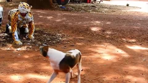 EPIC Fake Tiger Prank Dog No Run So Funny