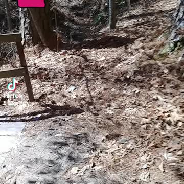 My Workout at the trail tiktok video