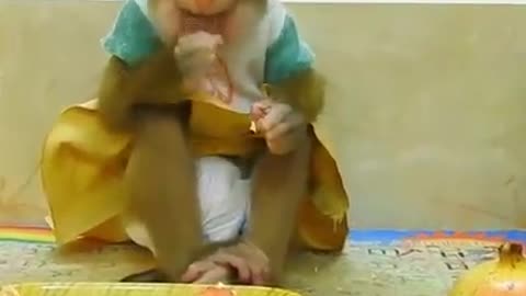 Cute baby video