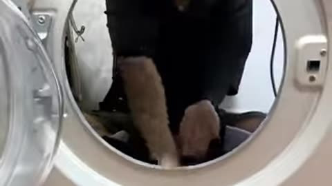 So this is how washing machines really work🤣