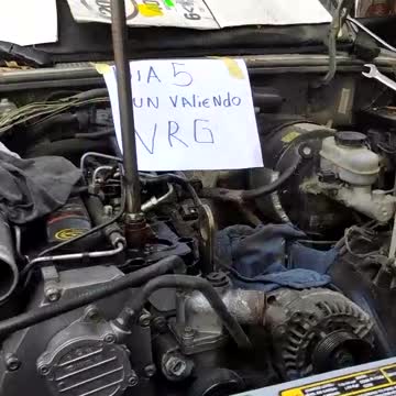 funny|prank|jokes|funny jokes|dad jokes|funny memes|funny video|fun|laughing|funny animal|knock