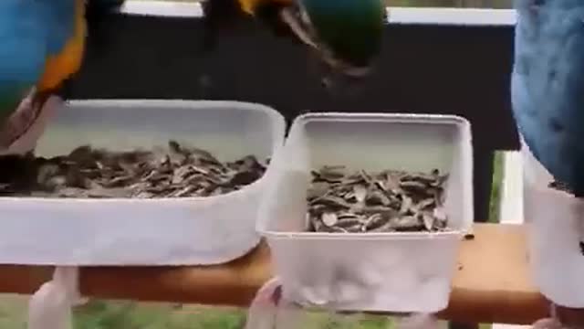 عالم الخيال