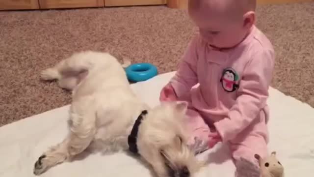 Omg..so cute a baby plating with a little puppy