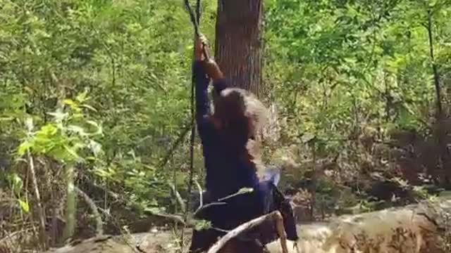 Purple shirt little girl swings into tree in woods