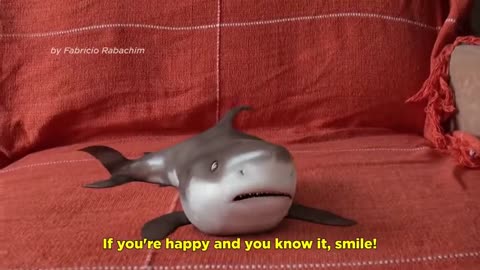 Funny and Cutest Baby shark