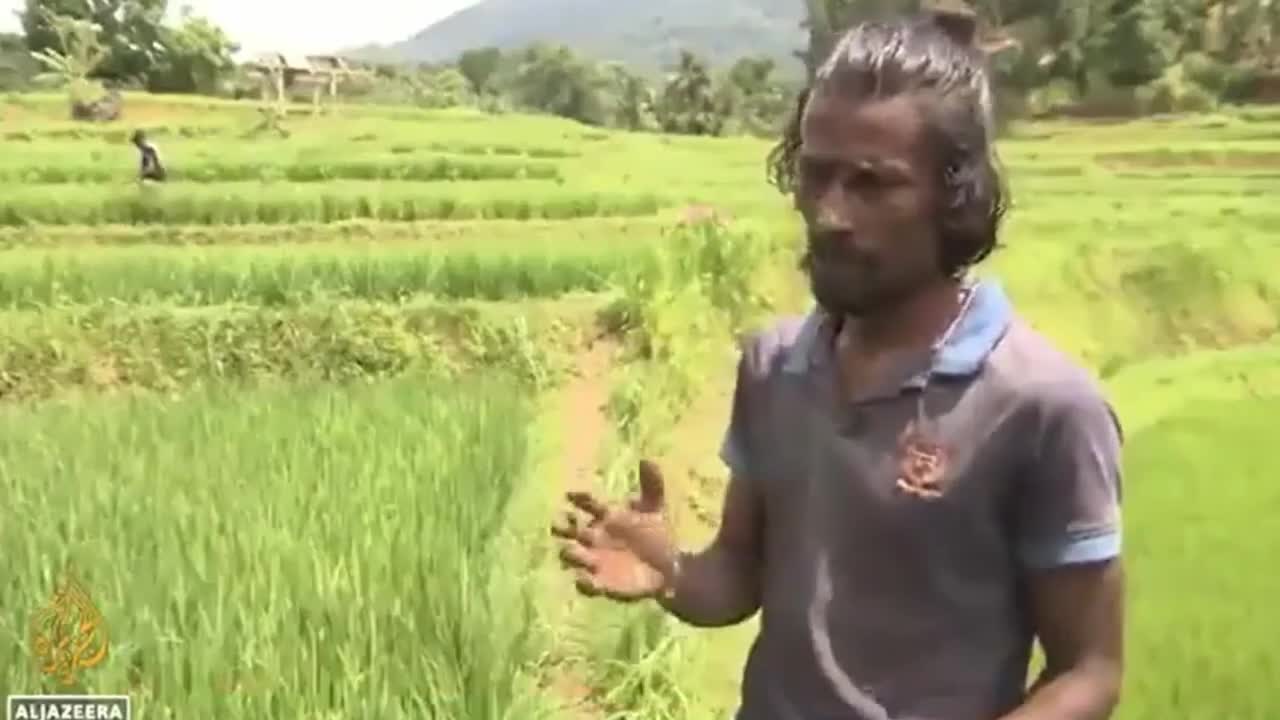 WEF Pushed Fertilizer Ban Hitting Farmers Worldwide