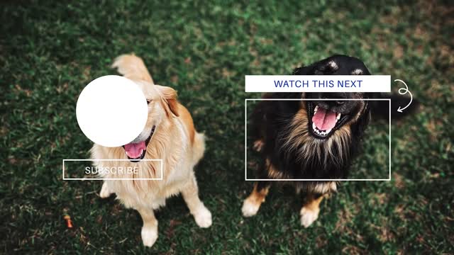 Bark At Your Dog To See Their Reaction | TikTok Challenge